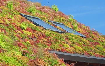 West Bretton living roof systems
